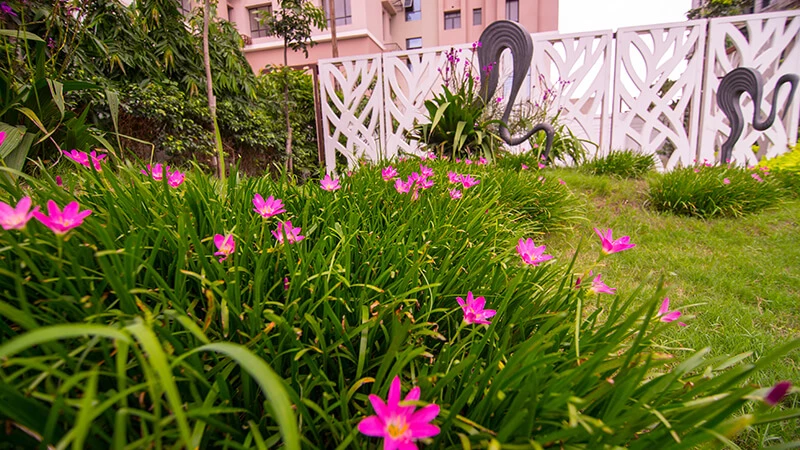 Ozone Gardens